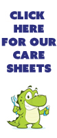 Care Sheets