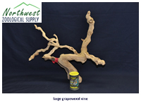 large grapewood vine